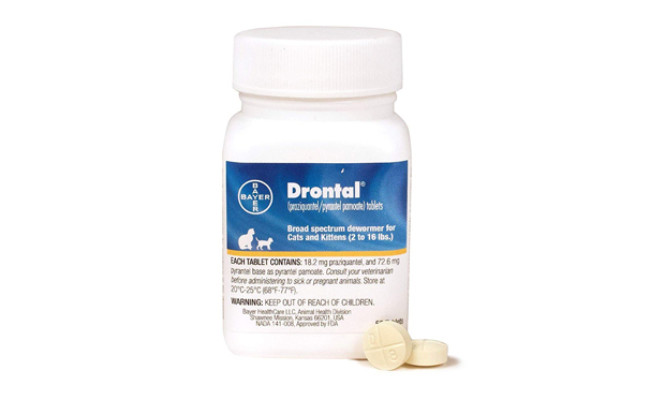 drontal cat dewormer