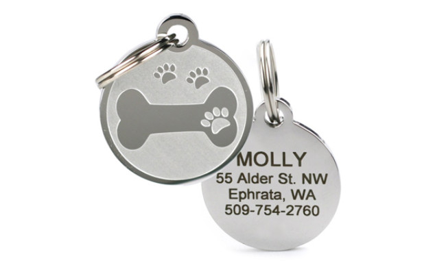 engraved dog id tag