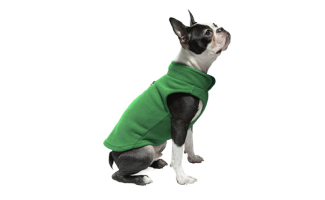 gooby dog sweater