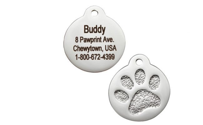 gotags personalized stainless steel id tag