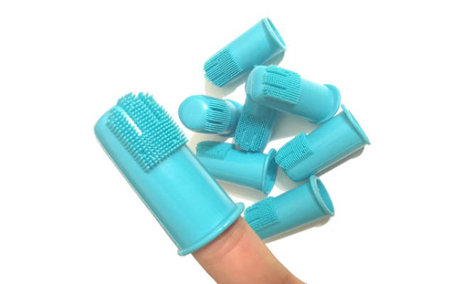 Get Best Cat Toothbrush for Your Cute Cat Pets Nurturing