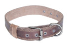 hide and drink leather dog collar