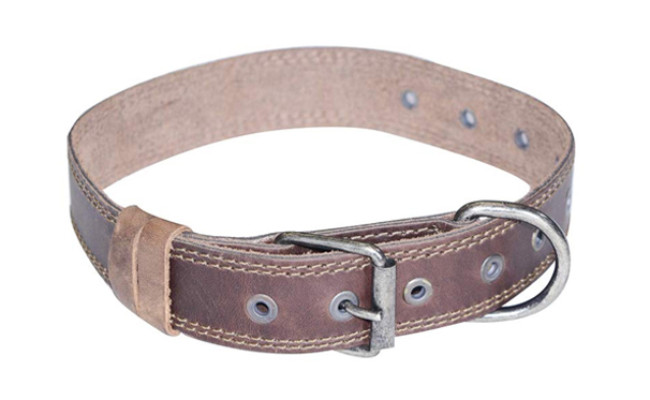 hide and drink leather dog collar