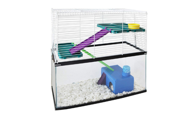 kaytee gerbil cage