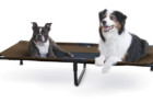 kh pet product elevated dog bed
