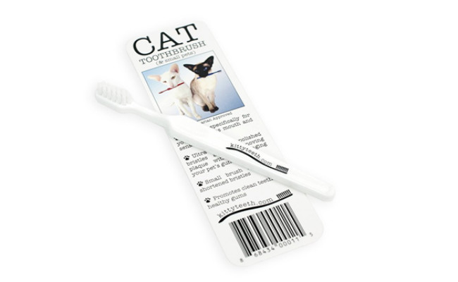 kittyteeth cat toothbrush