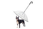 k&l pet dog umbrella