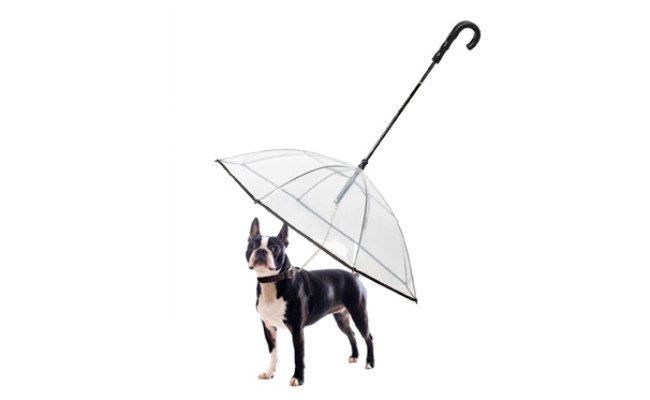 k&l pet dog umbrella