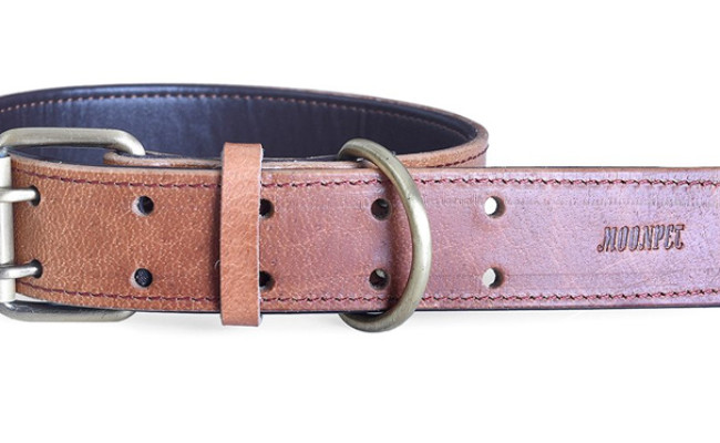 moonpet dog leather collar