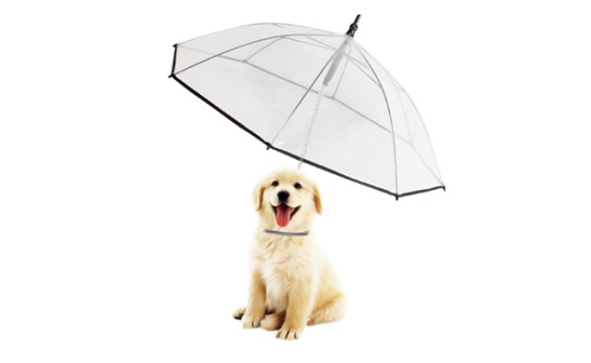 umbrella for dog leash