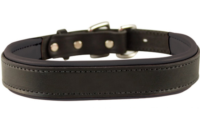 perris dog leather collar