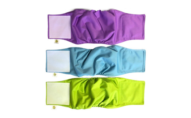 pet magasin luxury dog diapers