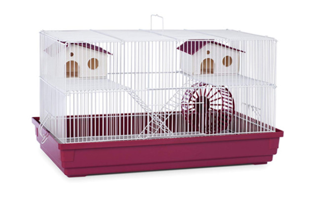 prevue hendryx deluxe gerbil cage