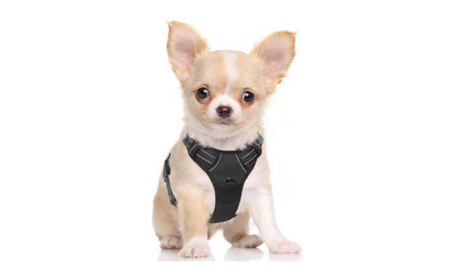 rabbitgoo Dog Harness