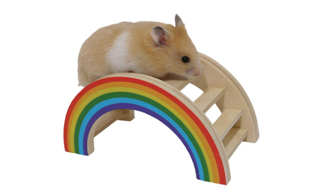 Rosewood Pet Rainbow Play Bridge