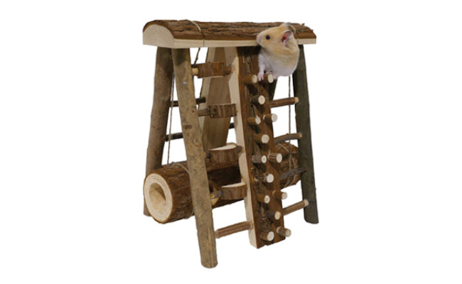 Rosewood Pet Activity Assault Course