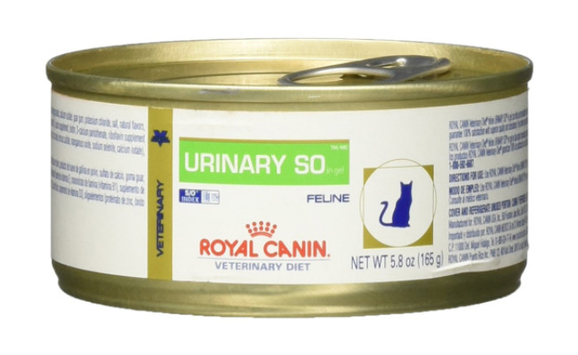 royal canin cat food for urinary tract health