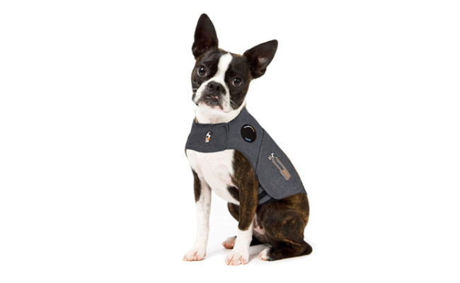 thundershirt dog jacket