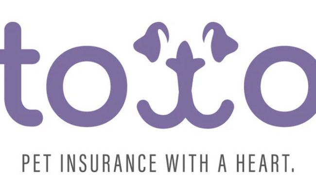 Toto Pet Insurance