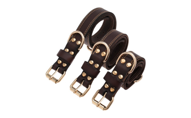 trevano dog collar