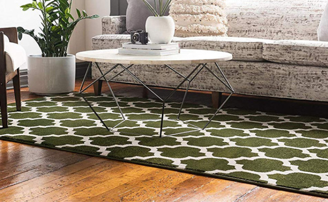 unique loom area rug for dogs