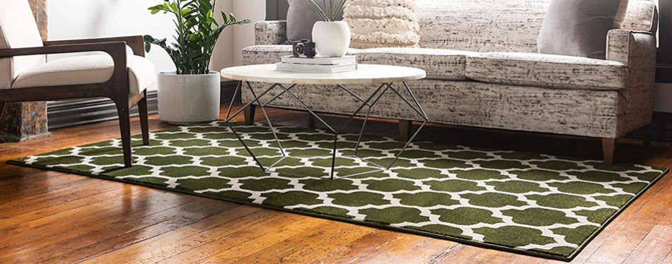 The Best Area Rugs For Dogs in 2022 | My Pet Needs That