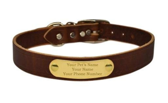 warner dog leather collar