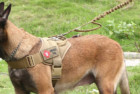 yisibo Service Dog Vest